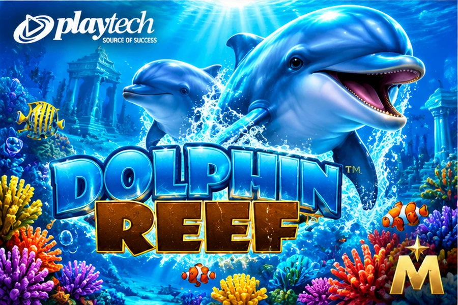 Dolphin Reef