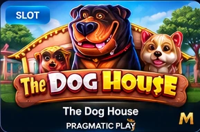 The Dog House